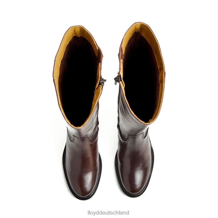 Schuhe LLOYD Stiefel braun Frauen PV6Z01191