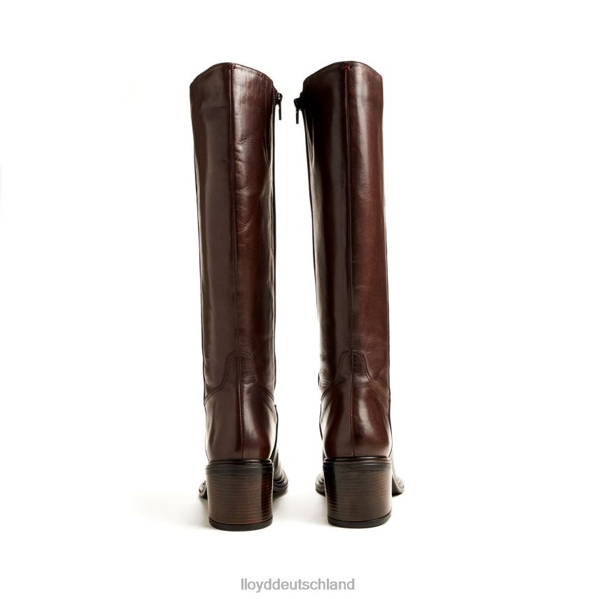 Schuhe LLOYD Stiefel braun Frauen PV6Z01191