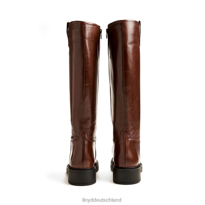 Schuhe LLOYD Stiefel braun Frauen PV6Z01193