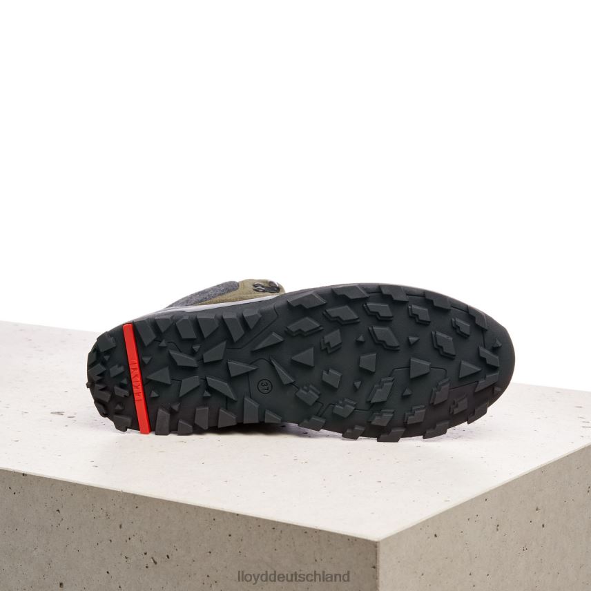 Schuhe LLOYD Stiefeletten Grün Frauen PV6Z0845