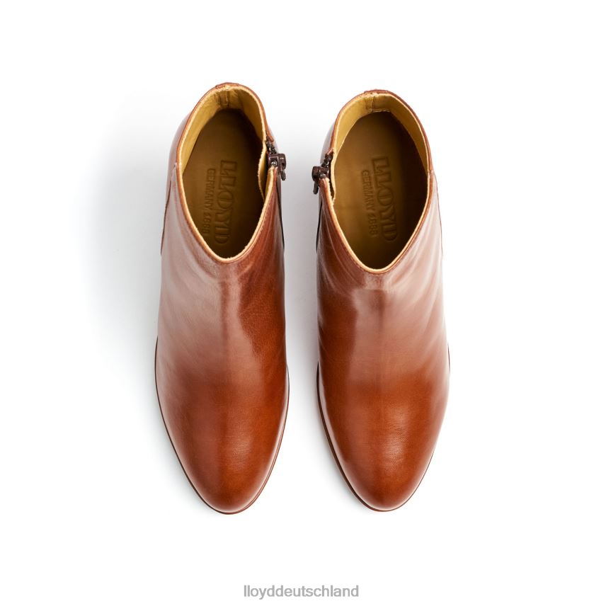 Schuhe LLOYD Stiefeletten aus Leder braun Frauen PV6Z0921