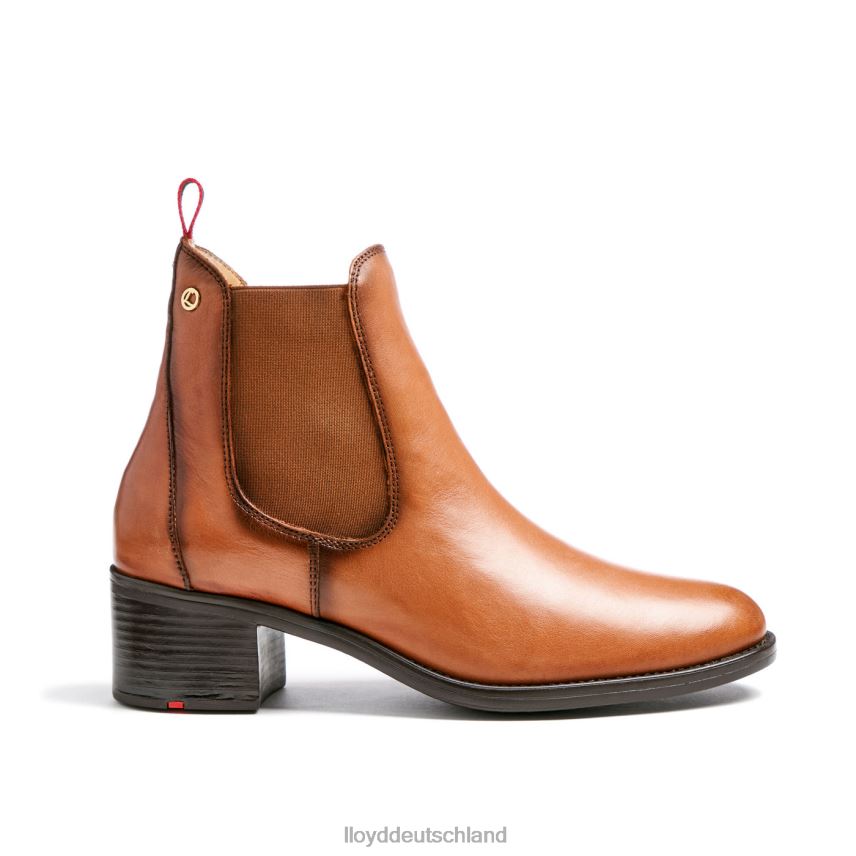 Schuhe LLOYD Stiefeletten aus Leder braun Frauen PV6Z0929