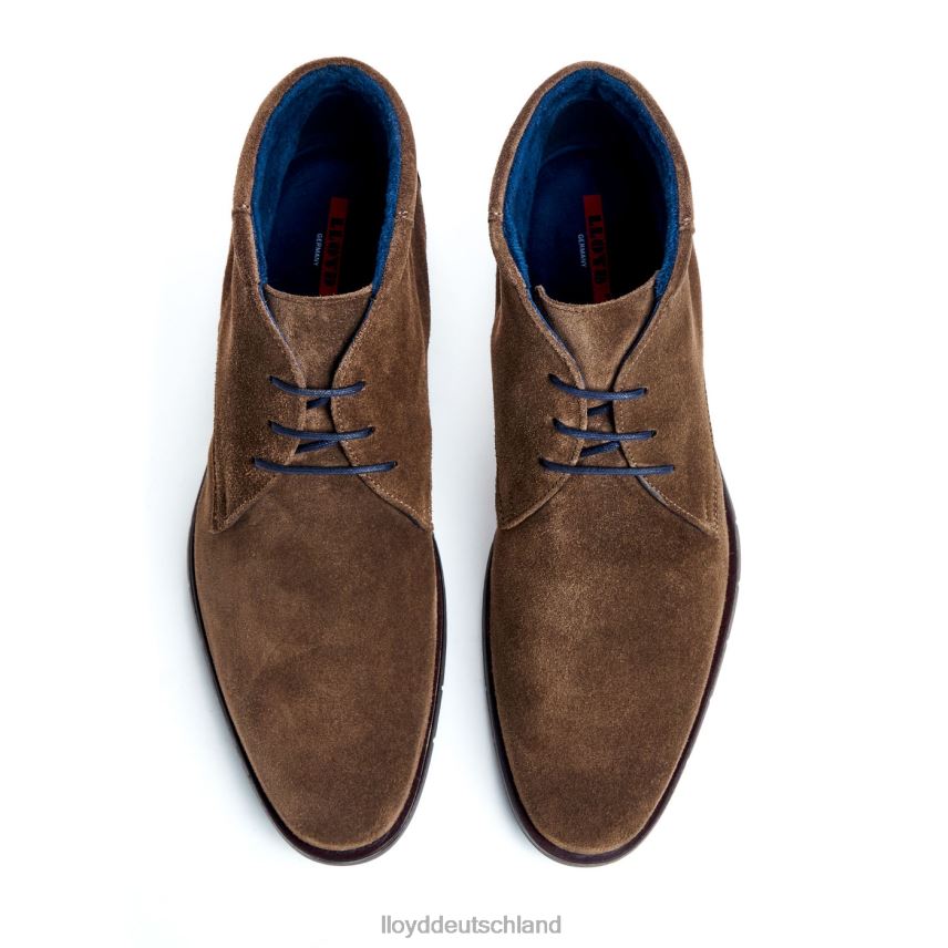 Schuhe LLOYD Tamar braun Männer PV6Z049