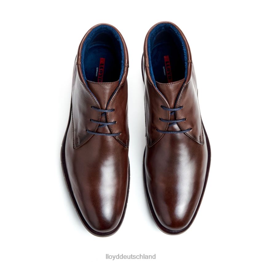 Schuhe LLOYD Tamar braun Männer PV6Z055