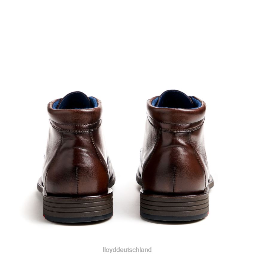 Schuhe LLOYD Tamar braun Männer PV6Z055