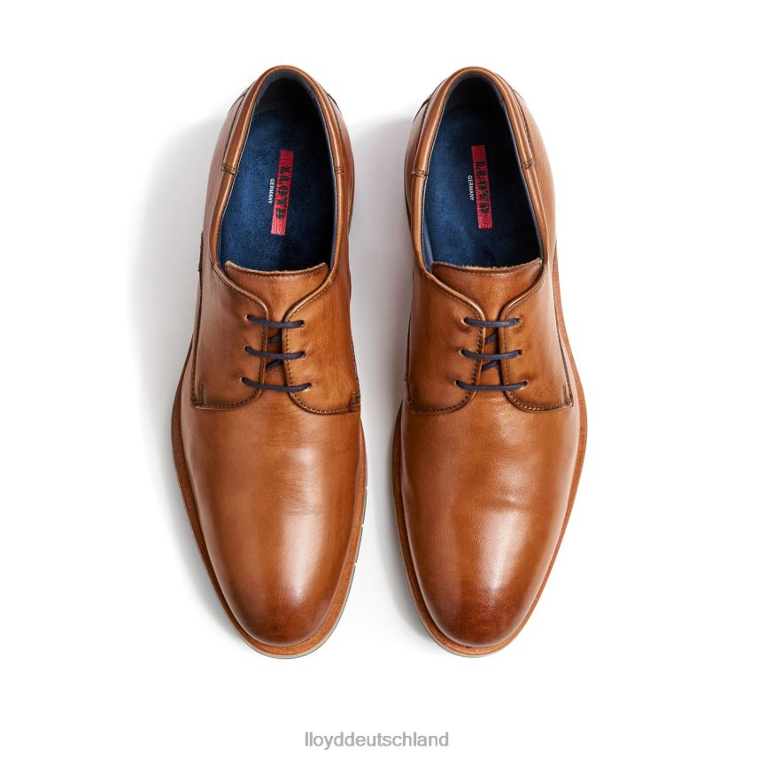 Schuhe LLOYD Tambo braun Männer PV6Z023