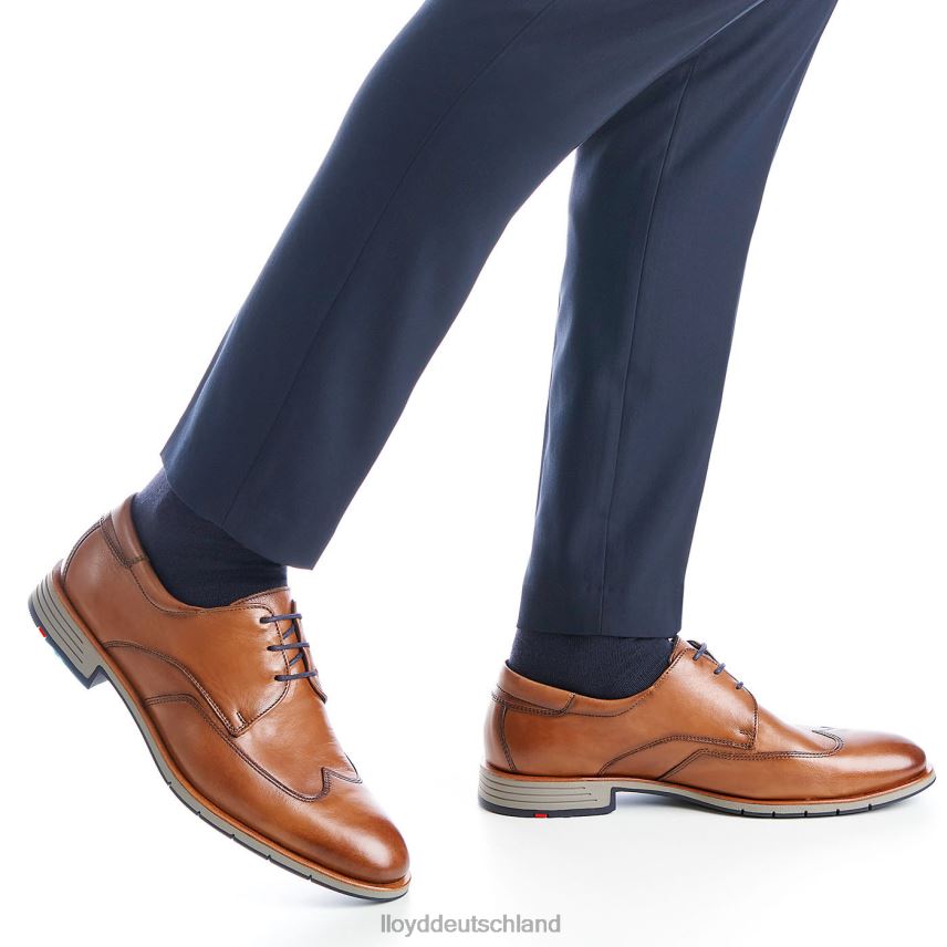 Schuhe LLOYD Taylor braun Männer PV6Z01325
