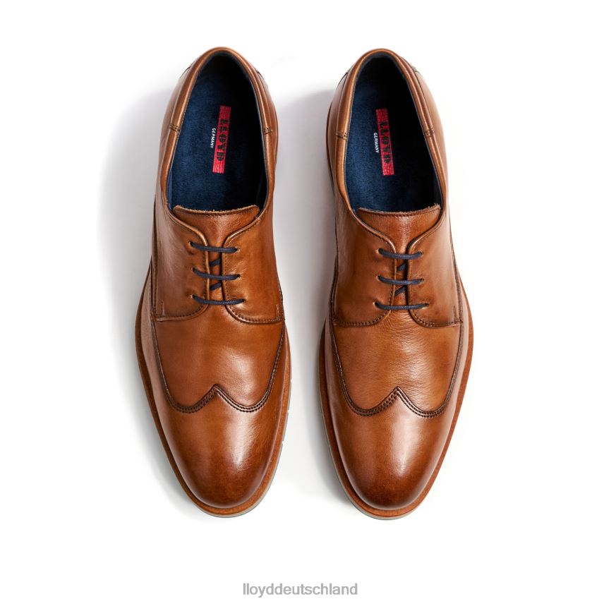 Schuhe LLOYD Taylor braun Männer PV6Z01325