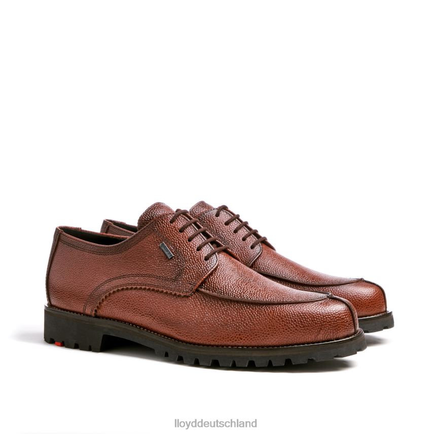 Schuhe LLOYD Valdez braun Männer PV6Z0161
