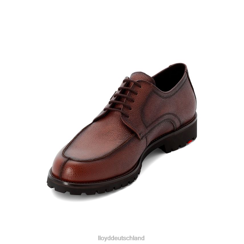 Schuhe LLOYD Valdez braun Männer PV6Z0161