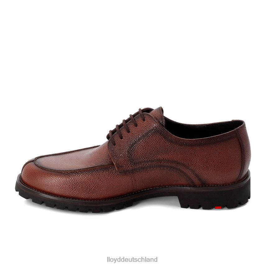 Schuhe LLOYD Valdez braun Männer PV6Z0161
