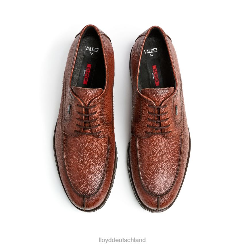 Schuhe LLOYD Valdez braun Männer PV6Z0161
