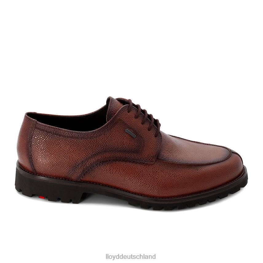Schuhe LLOYD Valdez braun Männer PV6Z0161