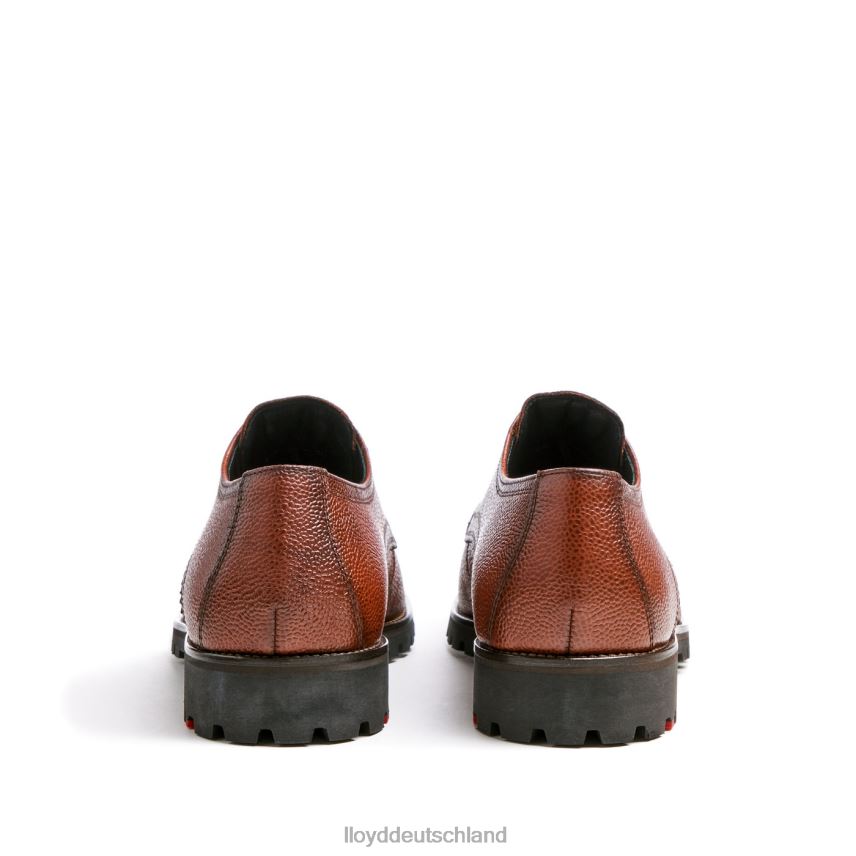 Schuhe LLOYD Valdez braun Männer PV6Z0161