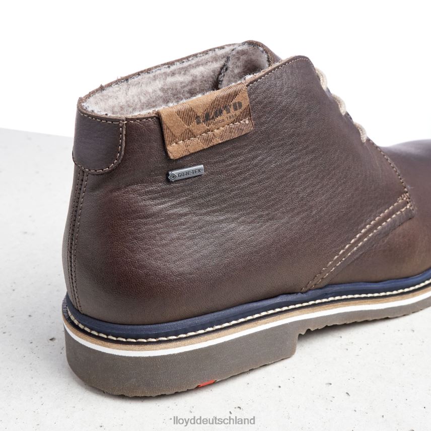 Schuhe LLOYD Valencia braun Männer PV6Z0508