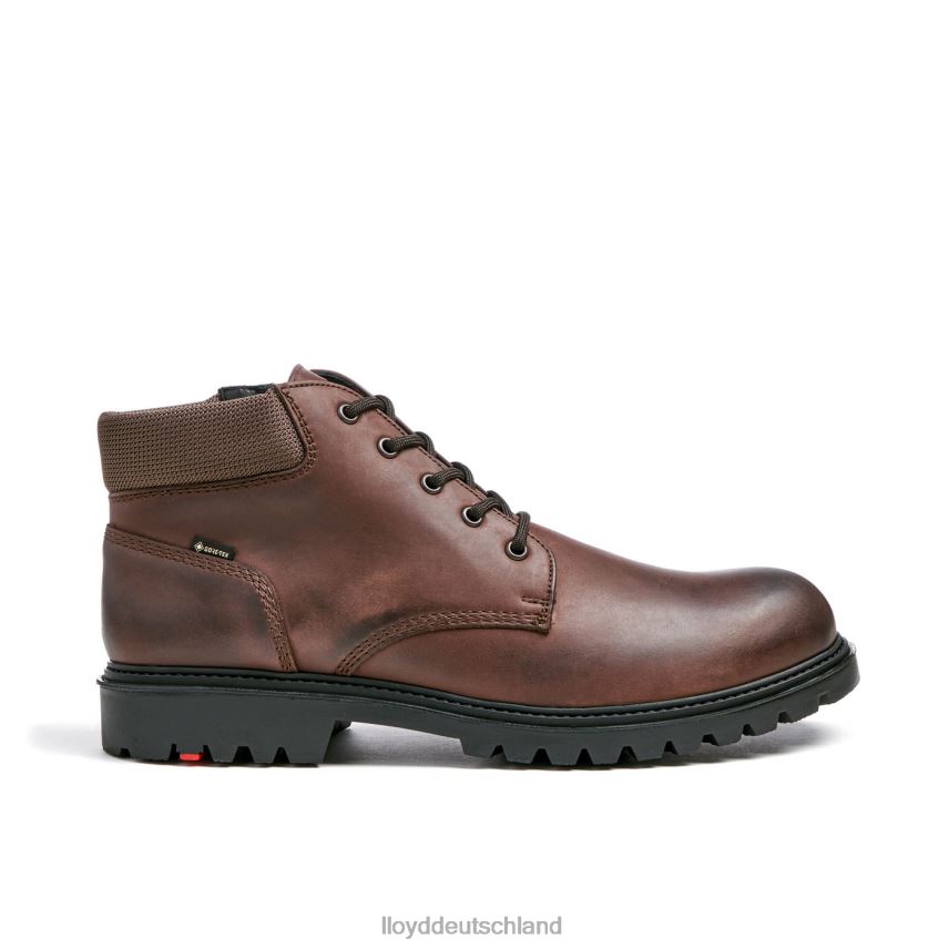 Schuhe LLOYD Vancouver braun Männer PV6Z0534