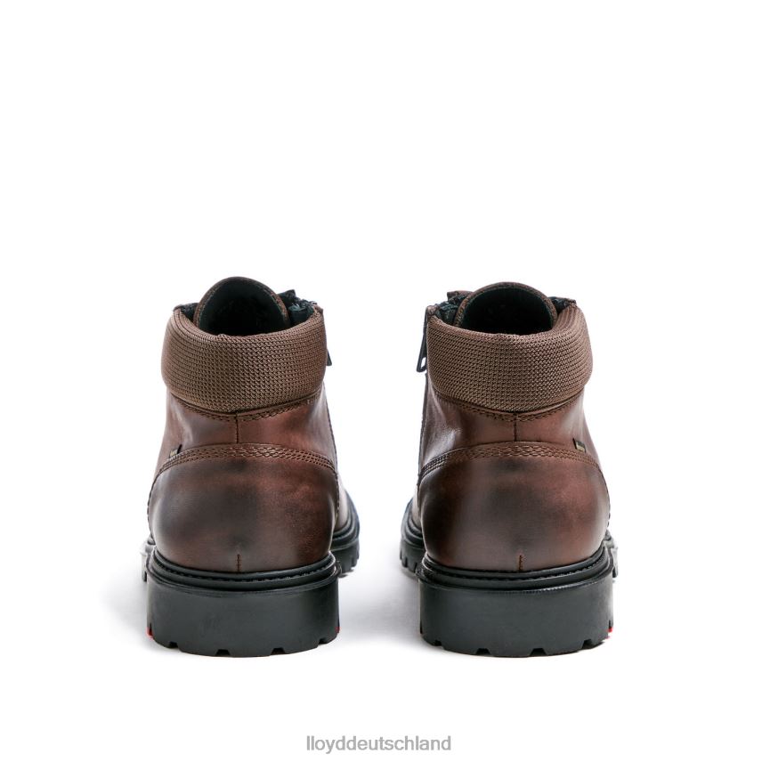 Schuhe LLOYD Vancouver braun Männer PV6Z0534