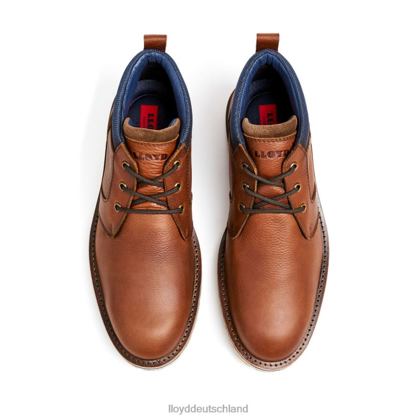 Schuhe LLOYD Vegas braun Männer PV6Z0511