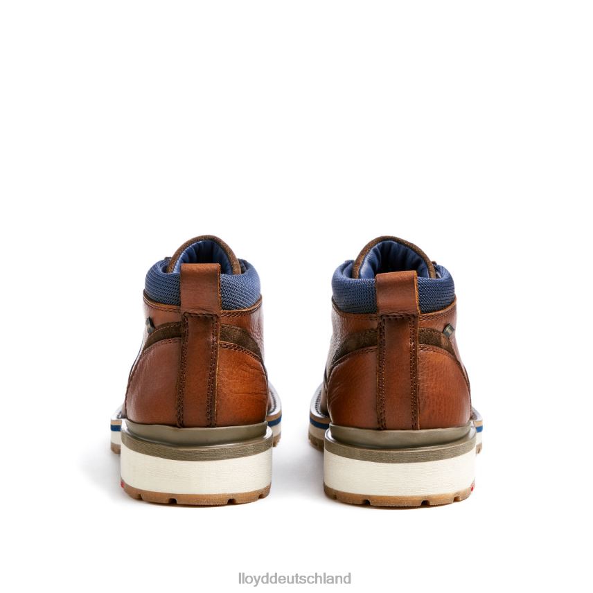 Schuhe LLOYD Vegas braun Männer PV6Z0511