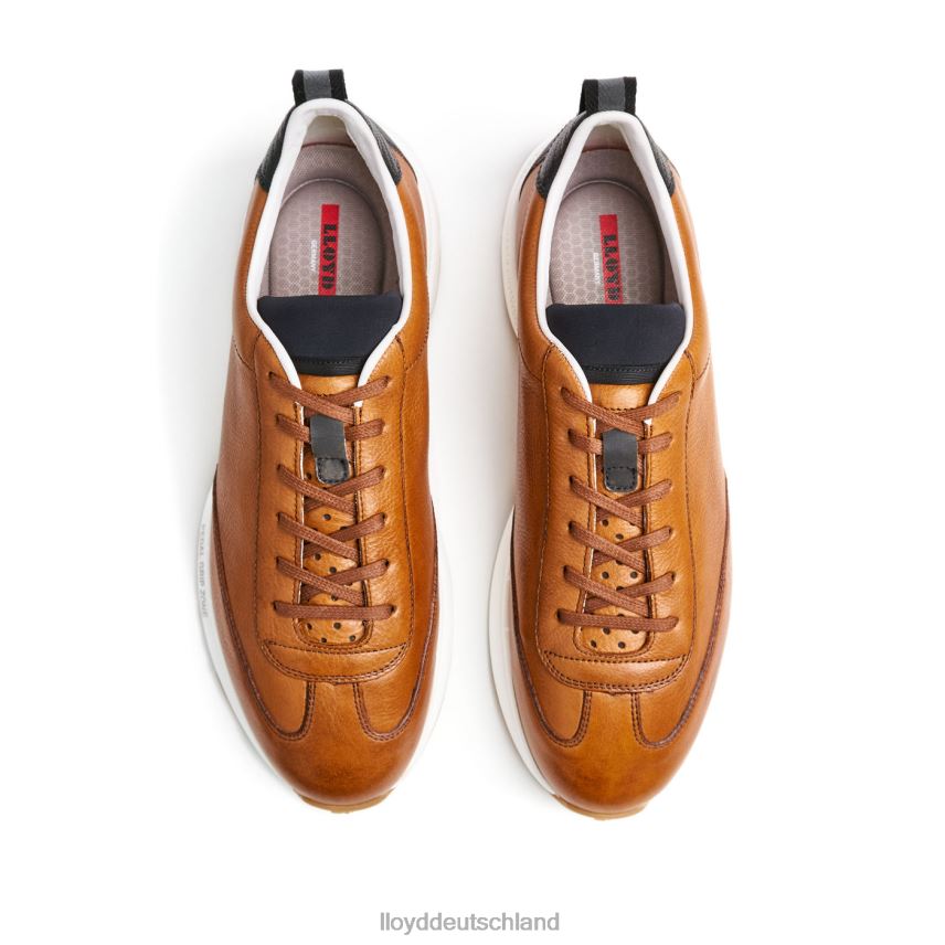 Schuhe LLOYD Velo 6 braun Männer PV6Z0435