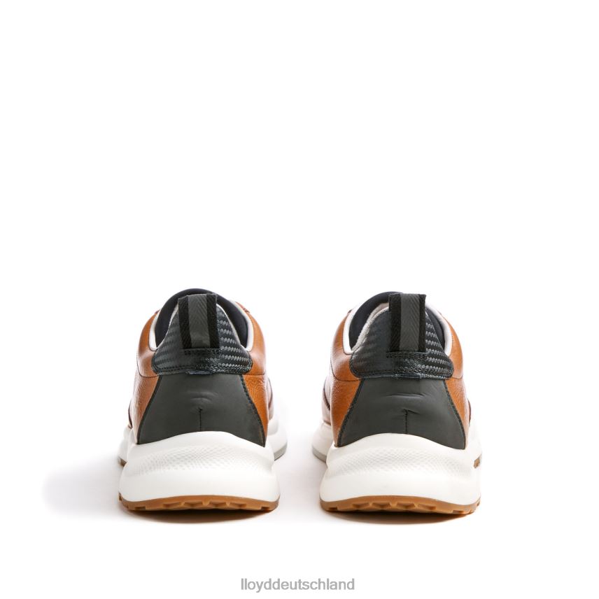 Schuhe LLOYD Velo 6 braun Männer PV6Z0435