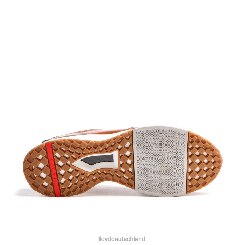 Schuhe LLOYD Velo 6 braun Männer PV6Z0435