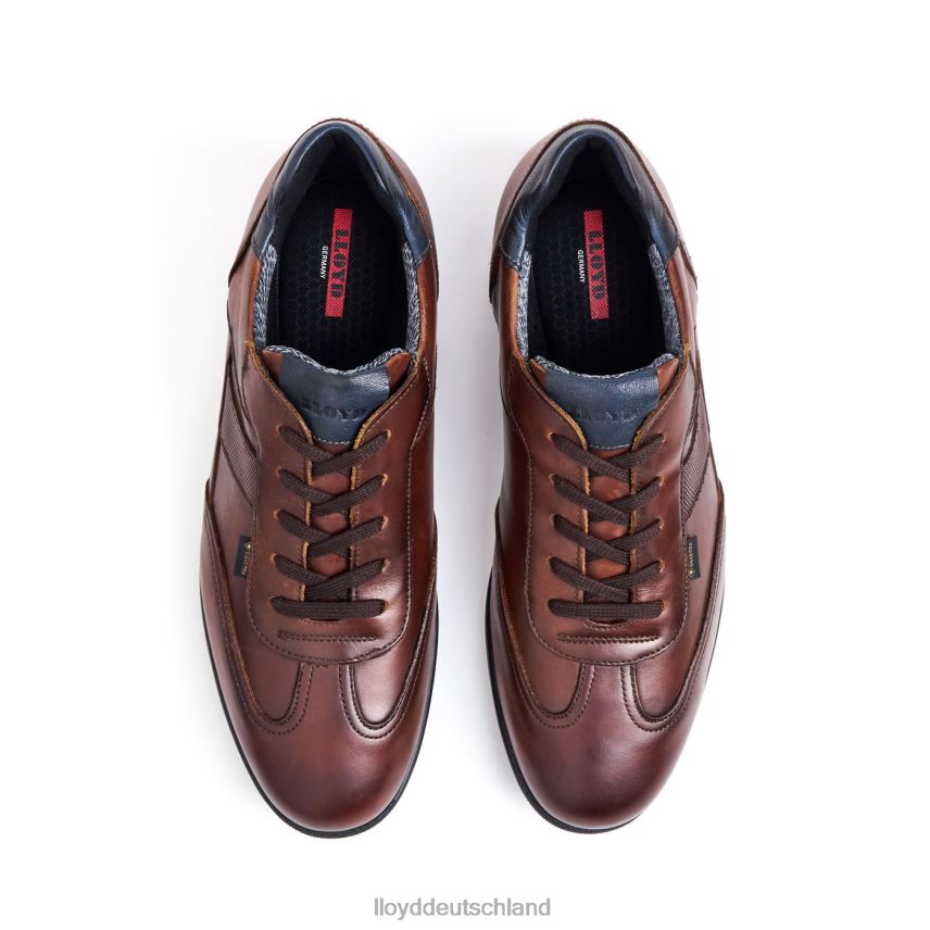 Schuhe LLOYD Vernon braun Männer PV6Z0136