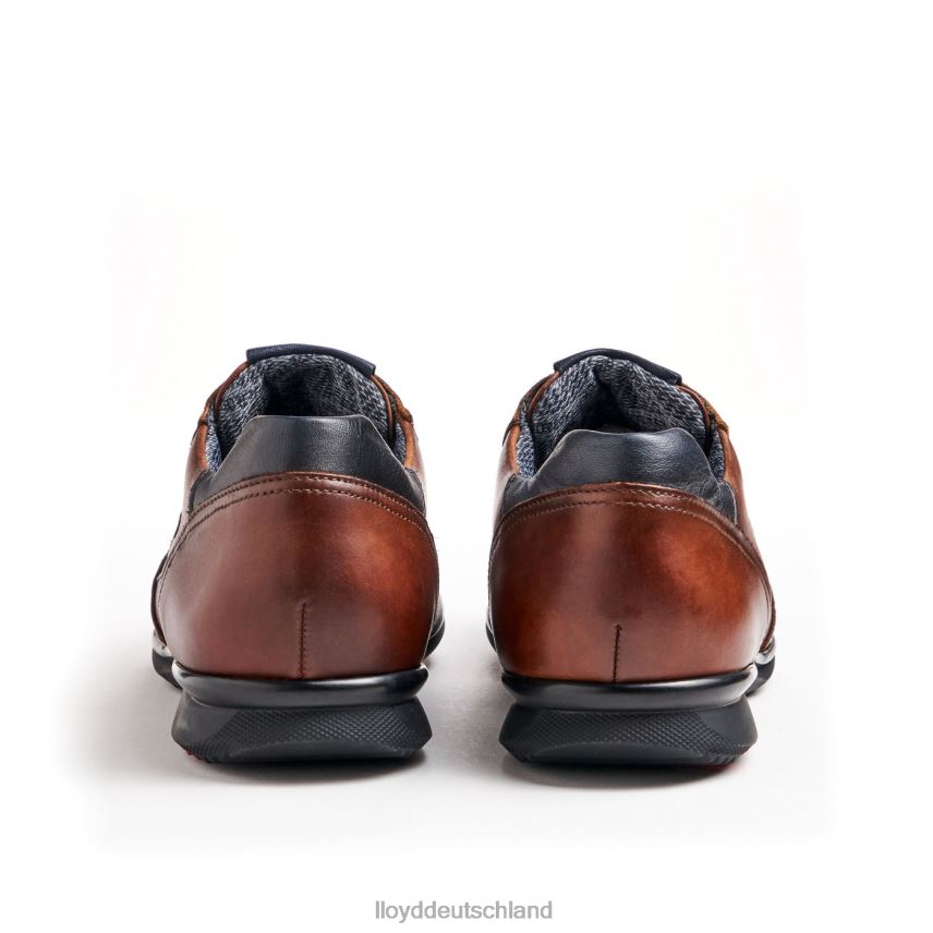 Schuhe LLOYD Vernon braun Männer PV6Z0136