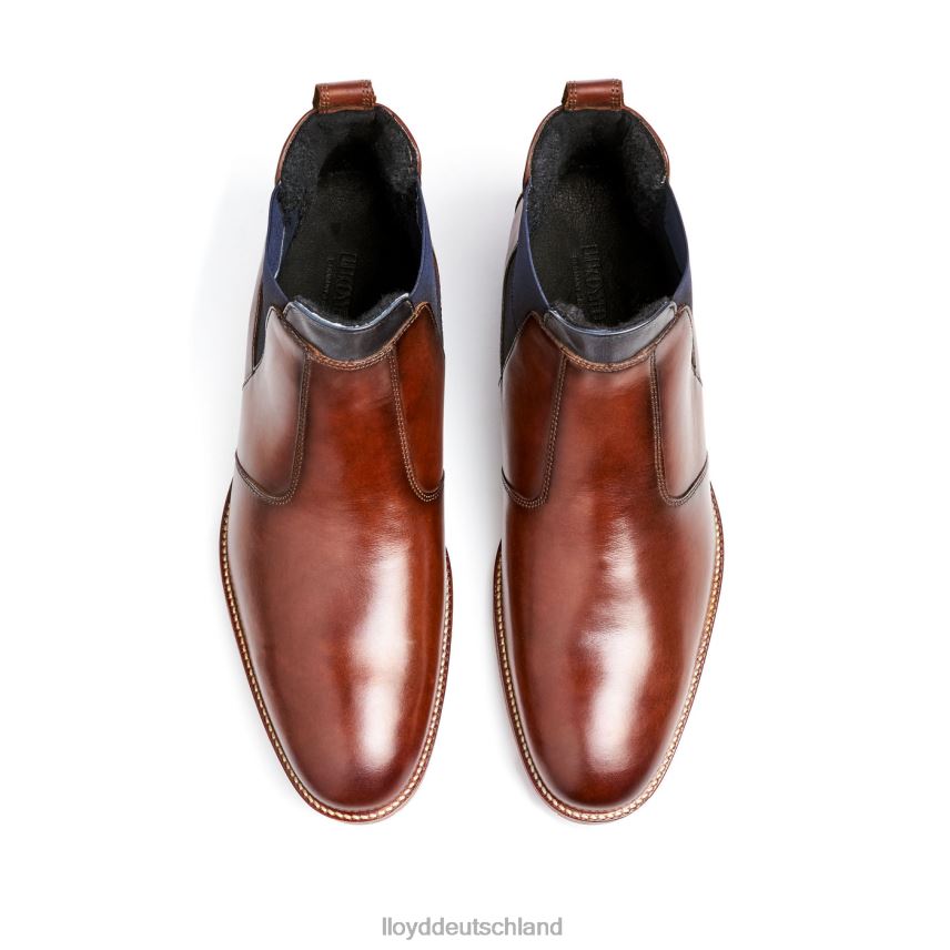 Schuhe LLOYD Vesuv braun Männer PV6Z0145