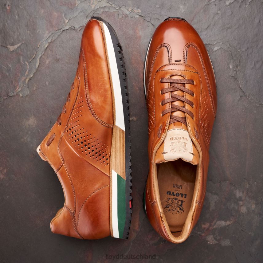 Schuhe LLOYD Walcott braun Männer PV6Z0180