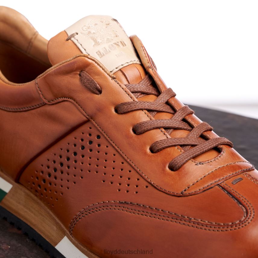 Schuhe LLOYD Walcott braun Männer PV6Z0180