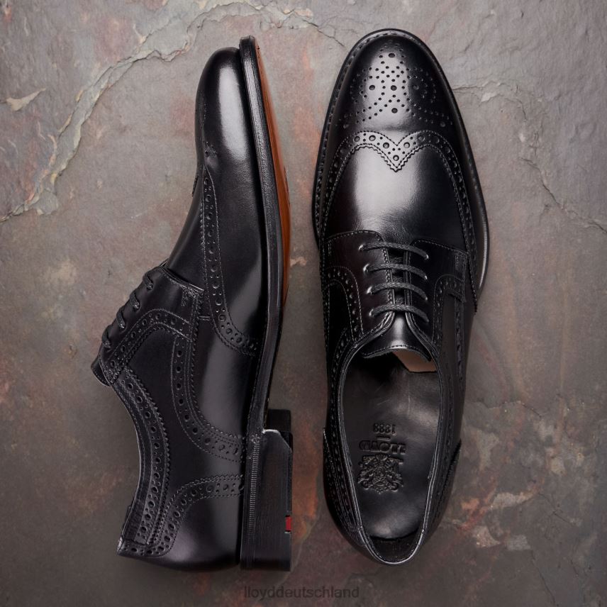 Schuhe LLOYD Waltham Schwarz Männer PV6Z070