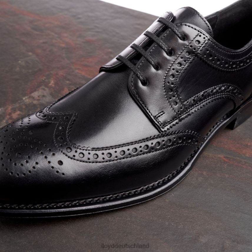 Schuhe LLOYD Waltham Schwarz Männer PV6Z070