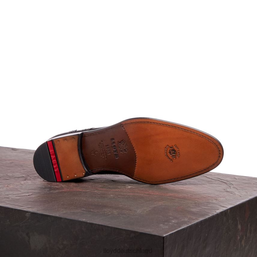 Schuhe LLOYD Waltham Schwarz Männer PV6Z070