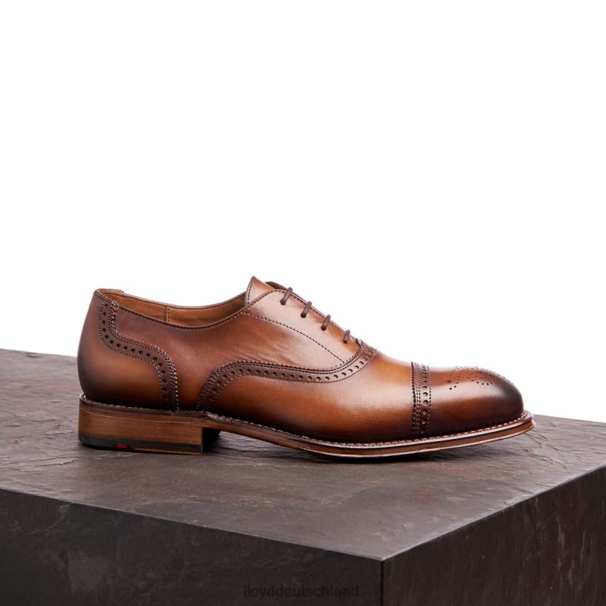 Schuhe LLOYD Waterloo braun Männer PV6Z021