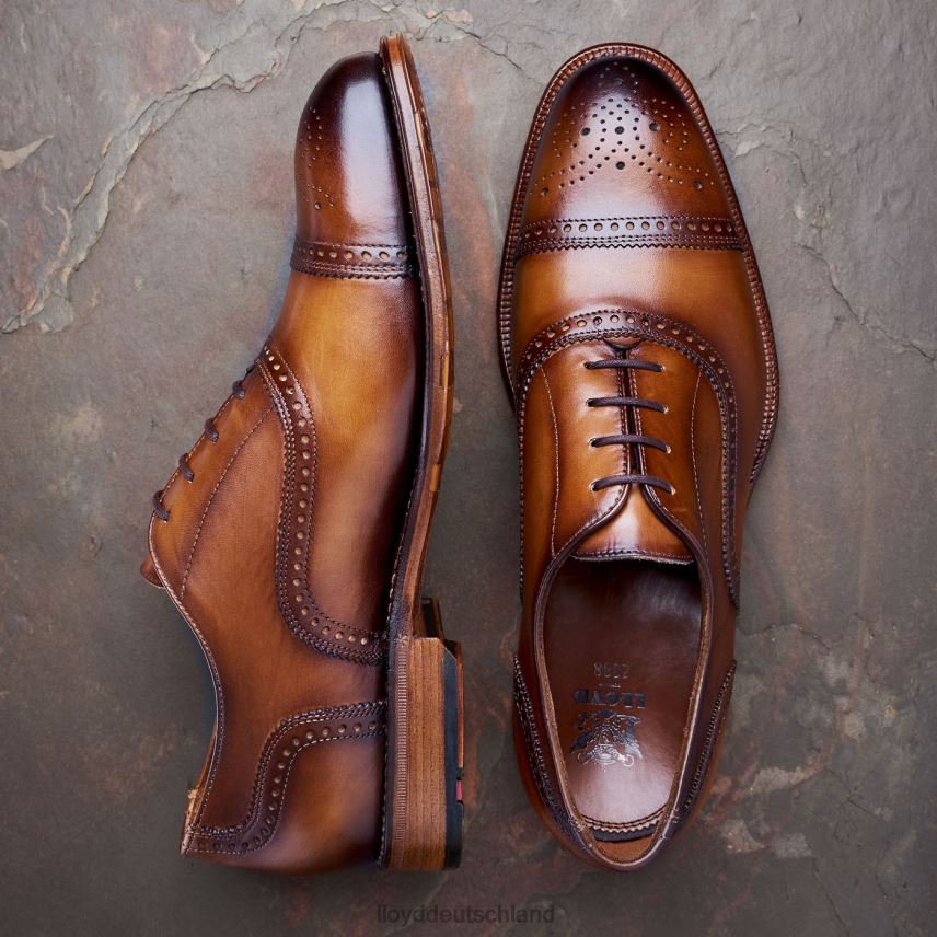 Schuhe LLOYD Waterloo braun Männer PV6Z021