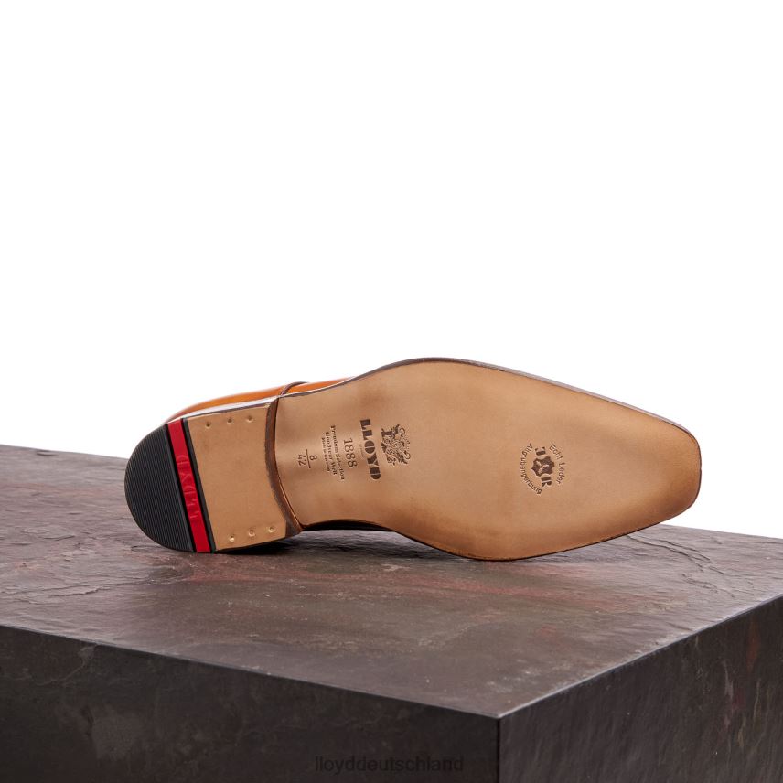 Schuhe LLOYD Waylon braun Männer PV6Z0184