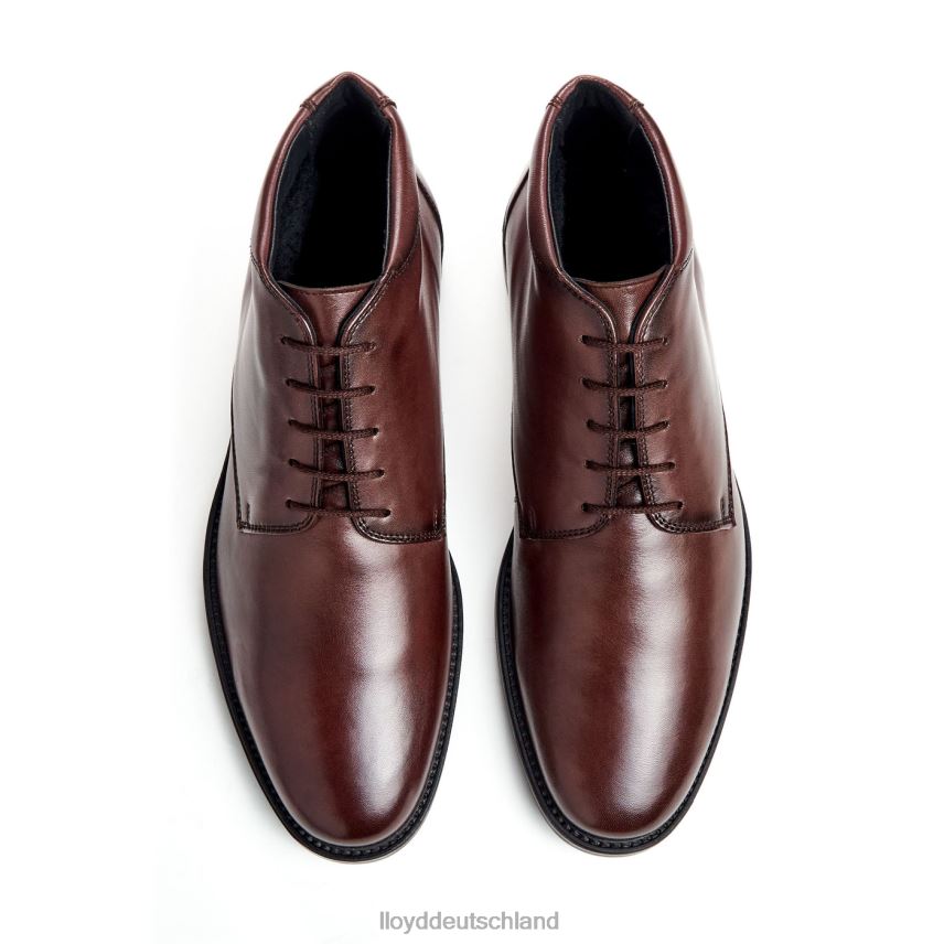 Schuhe LLOYD Wein braun Männer PV6Z0528