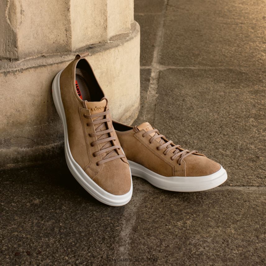 Schuhe LLOYD aaro braun Männer PV6Z0421