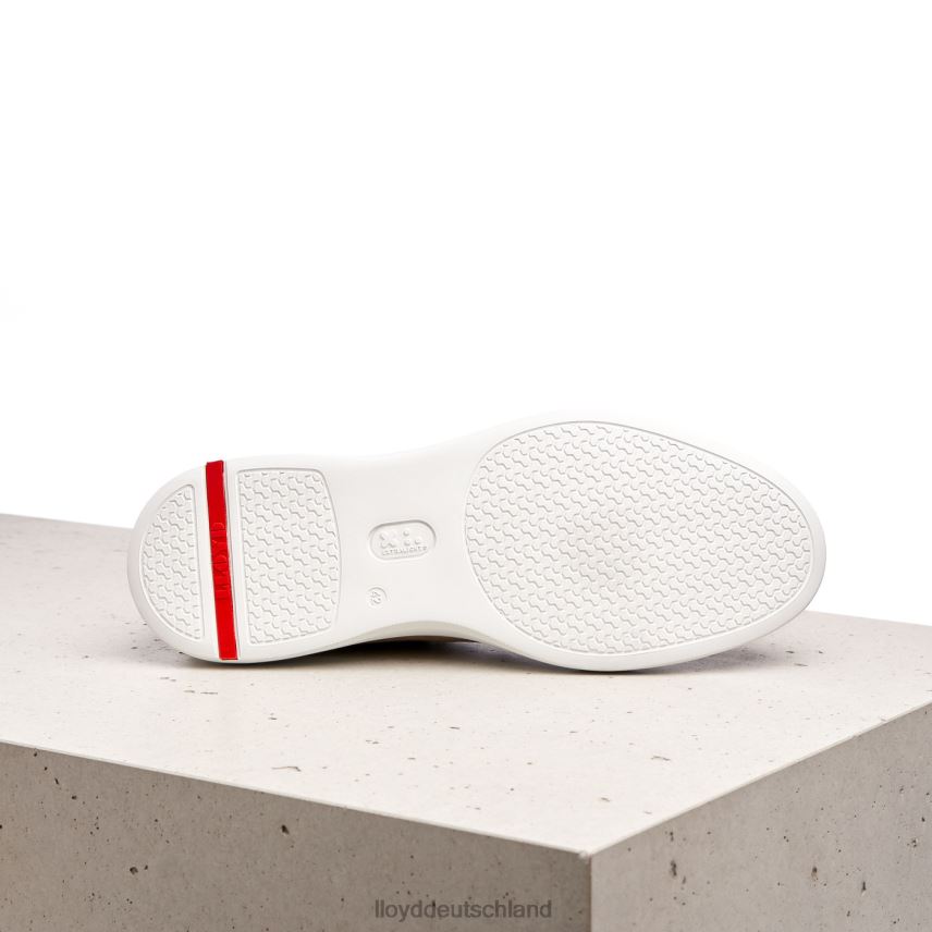 Schuhe LLOYD aaro braun Männer PV6Z0421