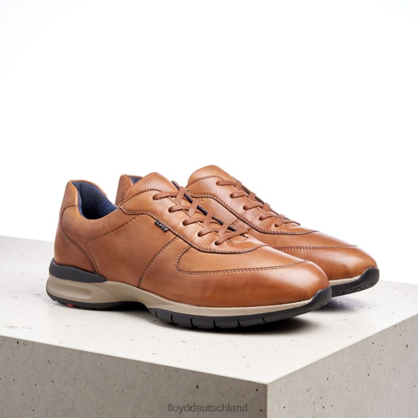 Schuhe LLOYD aberdeen braun Männer PV6Z0392