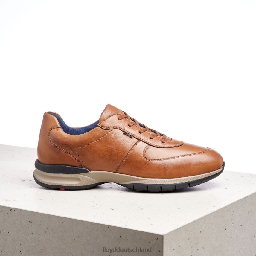 Schuhe LLOYD aberdeen braun Männer PV6Z0392