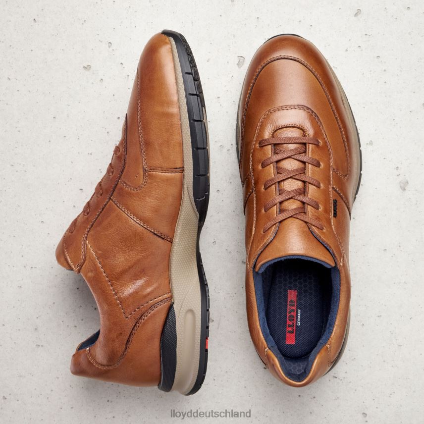 Schuhe LLOYD aberdeen braun Männer PV6Z0392