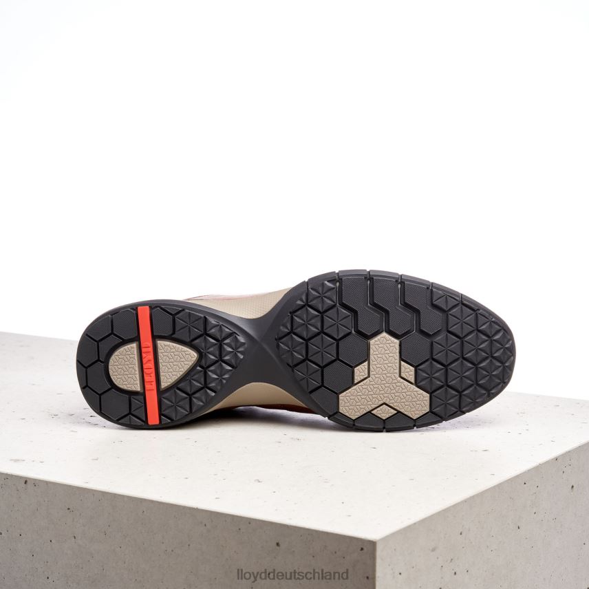 Schuhe LLOYD aberdeen braun Männer PV6Z0392