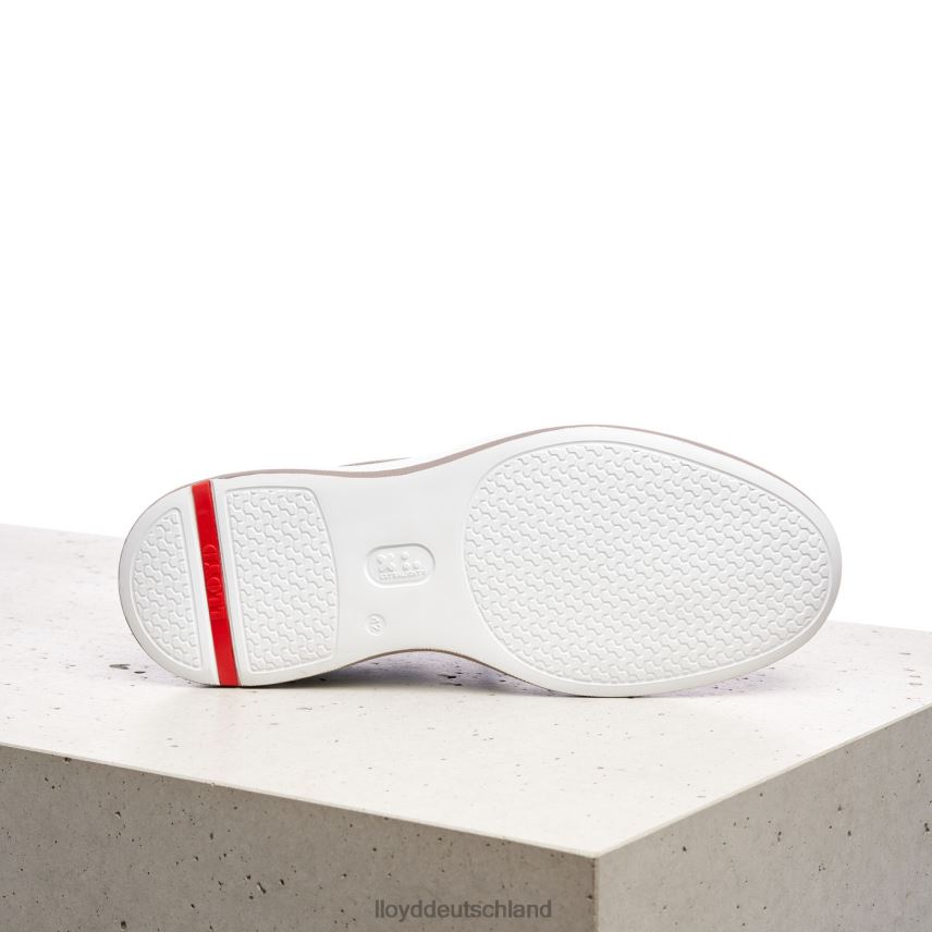 Schuhe LLOYD acuta grau Männer PV6Z0349