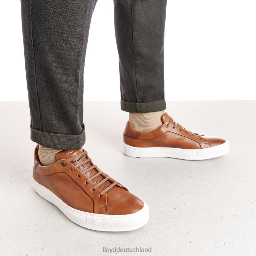 Schuhe LLOYD ajan braun Männer PV6Z0391