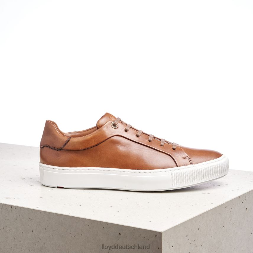 Schuhe LLOYD ajan braun Männer PV6Z0391