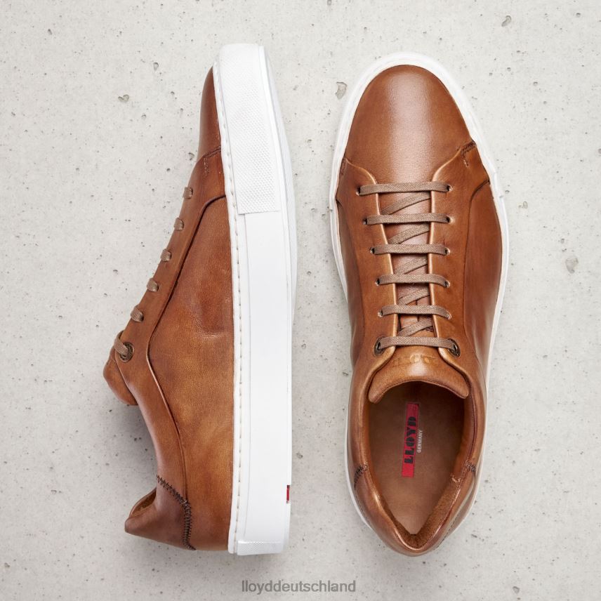 Schuhe LLOYD ajan braun Männer PV6Z0391