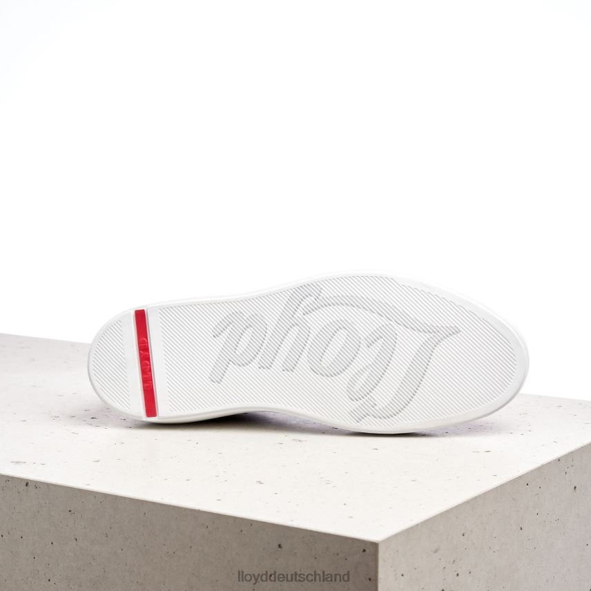 Schuhe LLOYD ajan braun Männer PV6Z0391