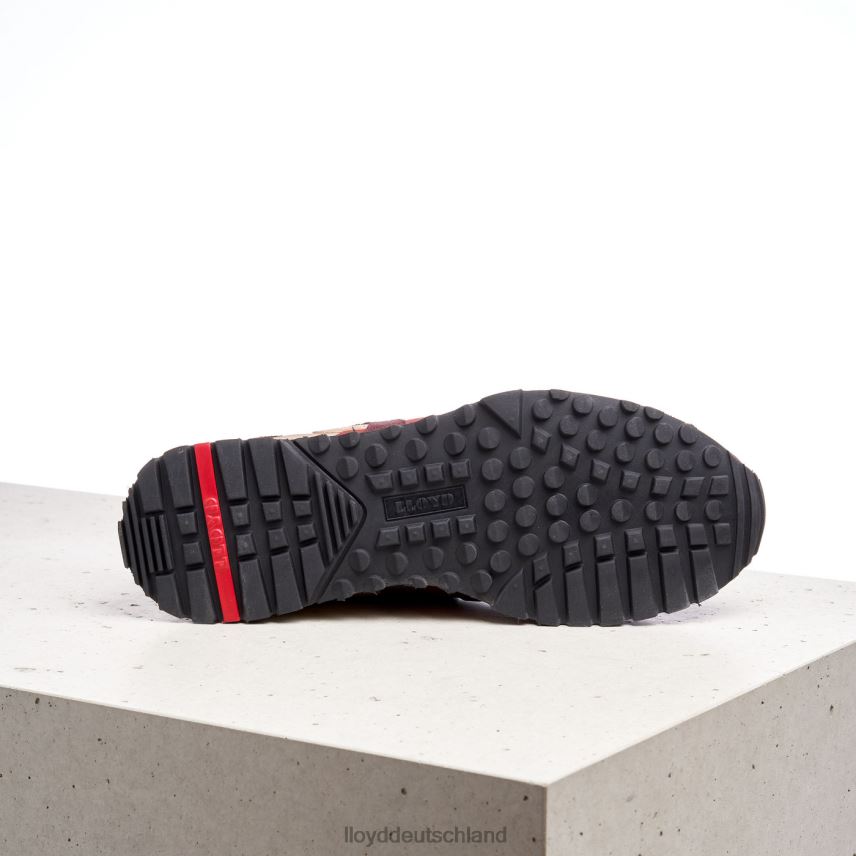 Schuhe LLOYD armand kombiniert Männer PV6Z01336